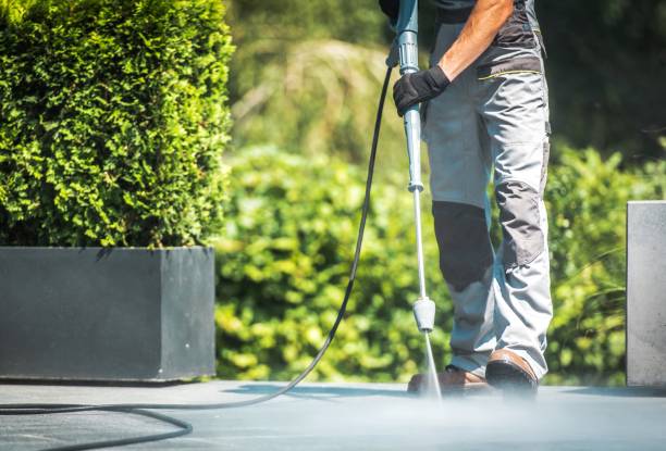 Best Roof Washing  in Woodacre, CA