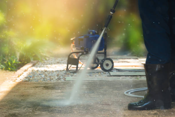 Animal Enclosure Cleaning in Woodacre, CA